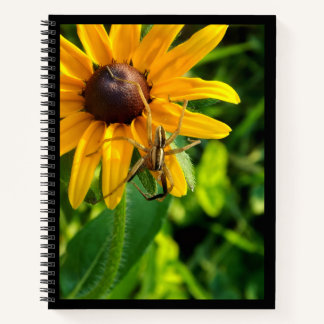 Spider op Zonnebloem 8.5 x 11 Spiral Notitieboek