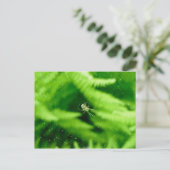 Spider Orb Weaver op het Briefkaart van Ferns (Staand voorkant)