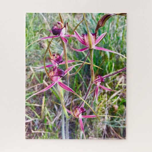 Spider Orchids Legpuzzel (Verticaal)