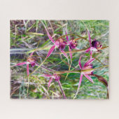 Spider Orchids Legpuzzel (Horizontaal)