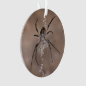 Spider Ornament (voorkant)