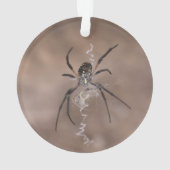 Spider Ornament (achterkant)