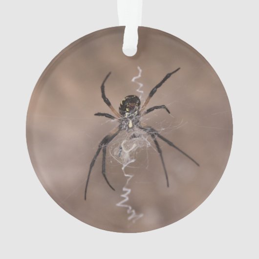 Spider Ornament (achterkant)