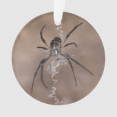 Spider Ornament (voorkant)