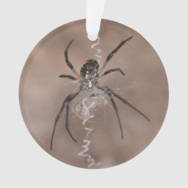 Spider Ornament