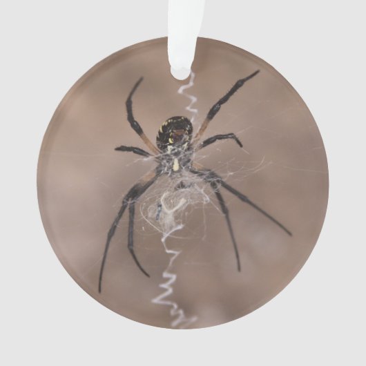 Spider Ornament (voorkant)