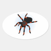 Spider Ovale Sticker (Voorkant)