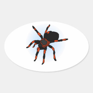Spider Ovale Sticker
