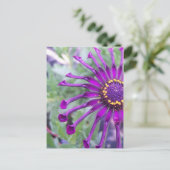 Spider-Paars ventilatorvermogen Briefkaart (Staand voorkant)