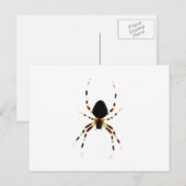 Spider-pcna Briefkaart (Voorkant / Achterkant)