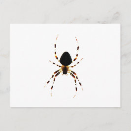 Spider PCNM Briefkaart
