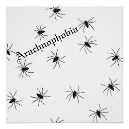 Spider Perfect Poster