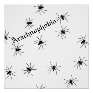 Spider Perfect Poster