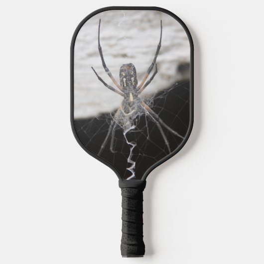 Spider Pickleball Paddle (Voorkant)