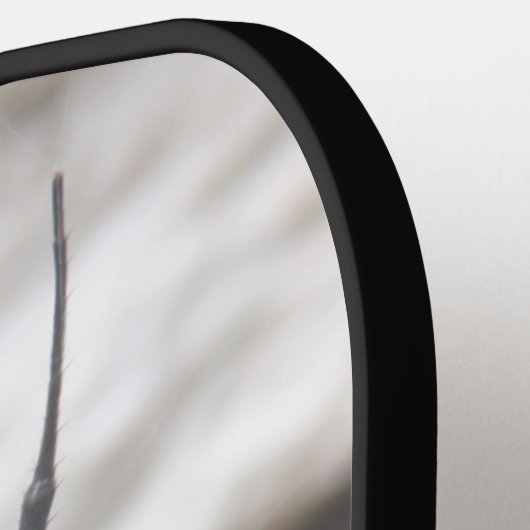 Spider Pickleball Paddle (Links Detail)