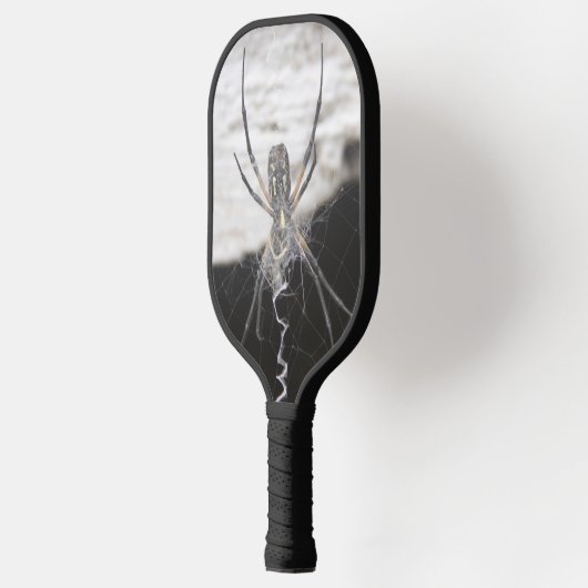 Spider Pickleball Paddle (Links)