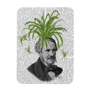 Spider Plant Head Magneet