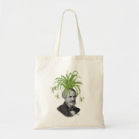 Spider Plant Head