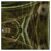 Spider plant...... stof (Close Up)