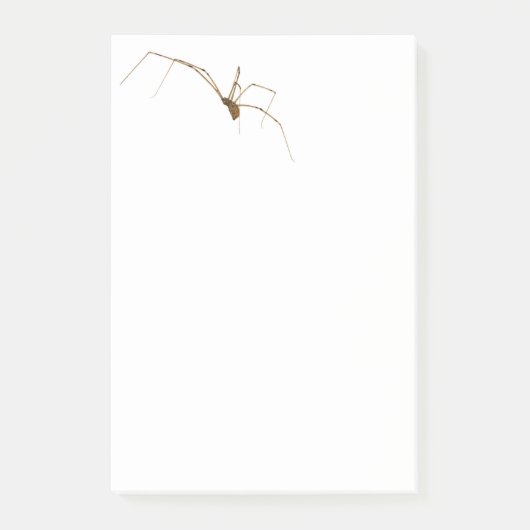 Spider Post-it® Notes (Voorkant)