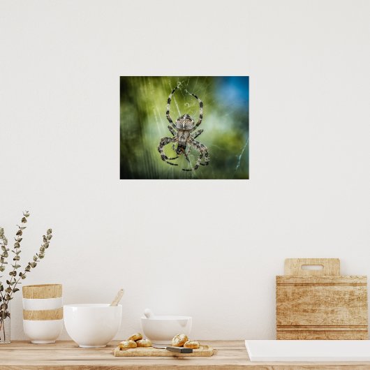 Spider Poster (Keuken)