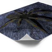 Spider Poster (Hoek)