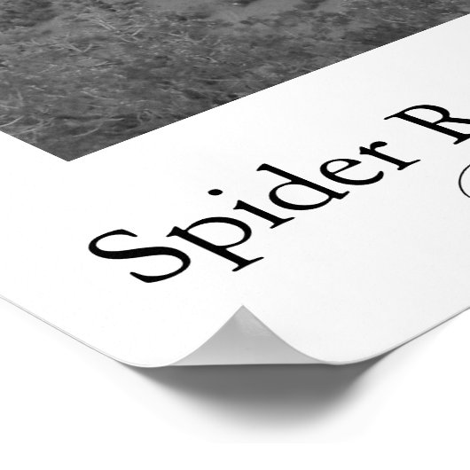 Spider Rock, Canyon de Chelly Poster (Hoek)