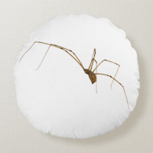 Spider Rond Kussen