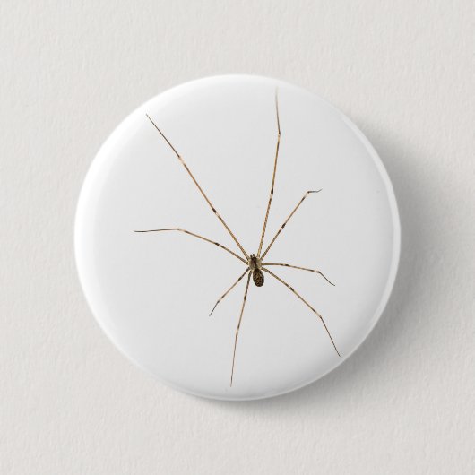 Spider Ronde Button 5,7 Cm (Voorkant)
