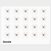 Spider Ronde Sticker (Vel)