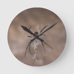 Spider Round Wall klok