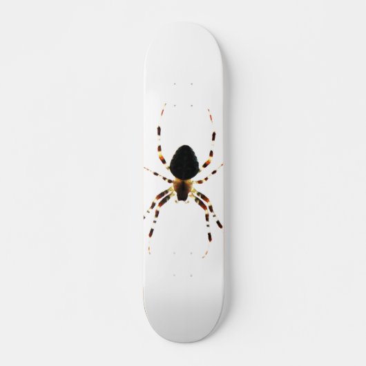 Spider scan persoonlijk skateboard (Voorkant)