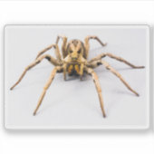 Spider Sense Sticker (Voorkant)