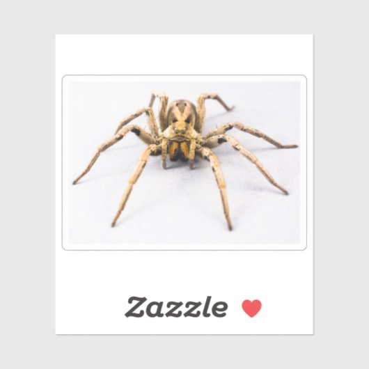 Spider Sense Sticker (Vel)