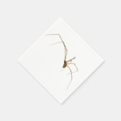 Spider Servetten (Hoek)