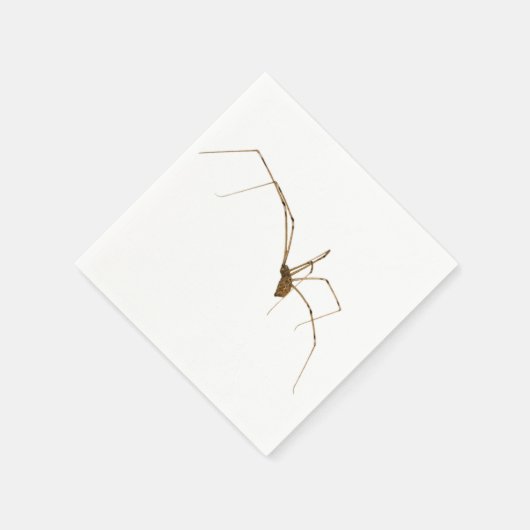 Spider Servetten (Hoek)