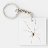 Spider Sleutelhanger (Voorkant)