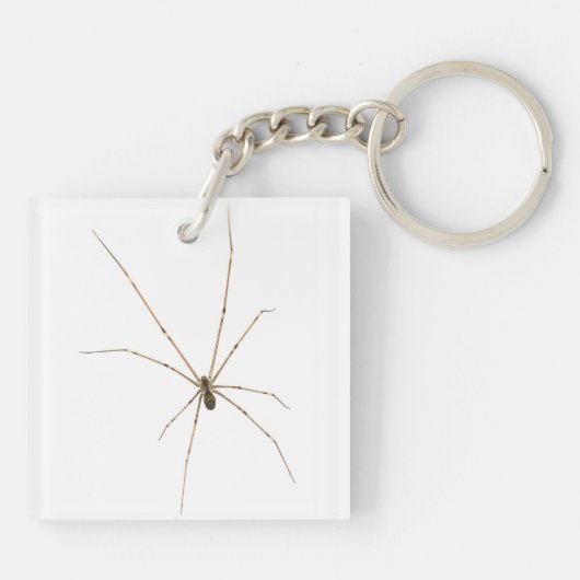 Spider Sleutelhanger (Achterkant)
