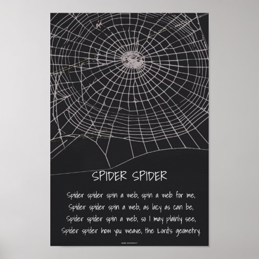 Spider Spider Poster (Voorkant)