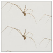 Spider Stof (Close Up)