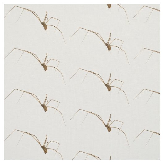 Spider Stof (Swatch)
