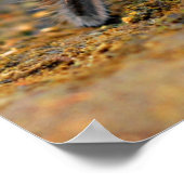 Spider Tarantula Insect Kunstwerk Foto Poster (Hoek)