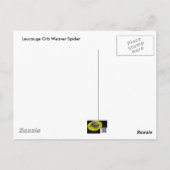 Spider Underside Briefkaart (Achterkant)