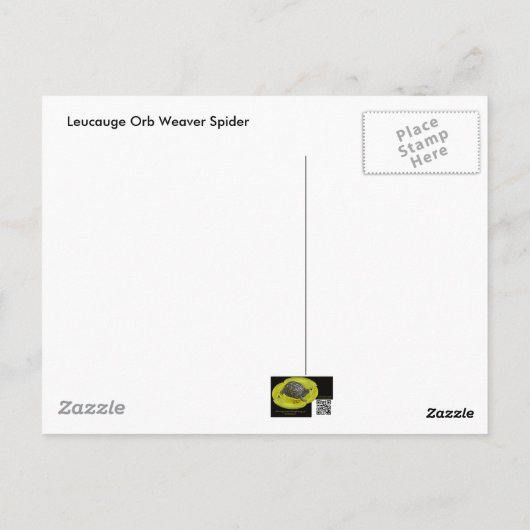 Spider Underside Briefkaart (Achterkant)