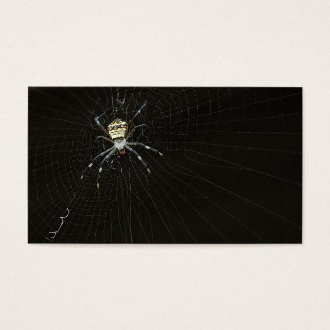 Spider Visitekaartjes (Voorkant)