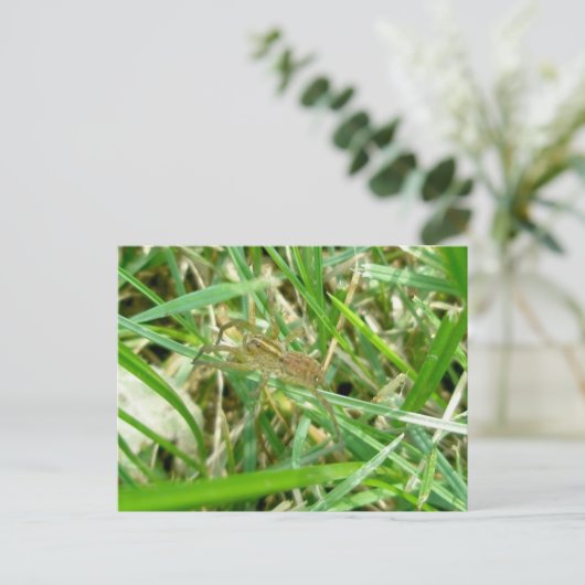 Spider voor zwerven in gras briefkaart (Staand voorkant)