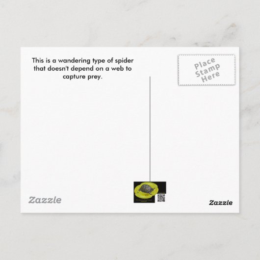 Spider voor zwerven in gras briefkaart (Achterkant)