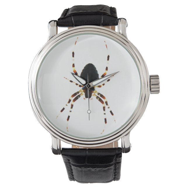 Spider wacna horloge (Voorkant)