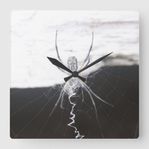Spider Wall klok