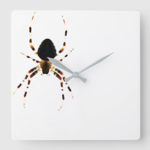 Spider - Wandklok